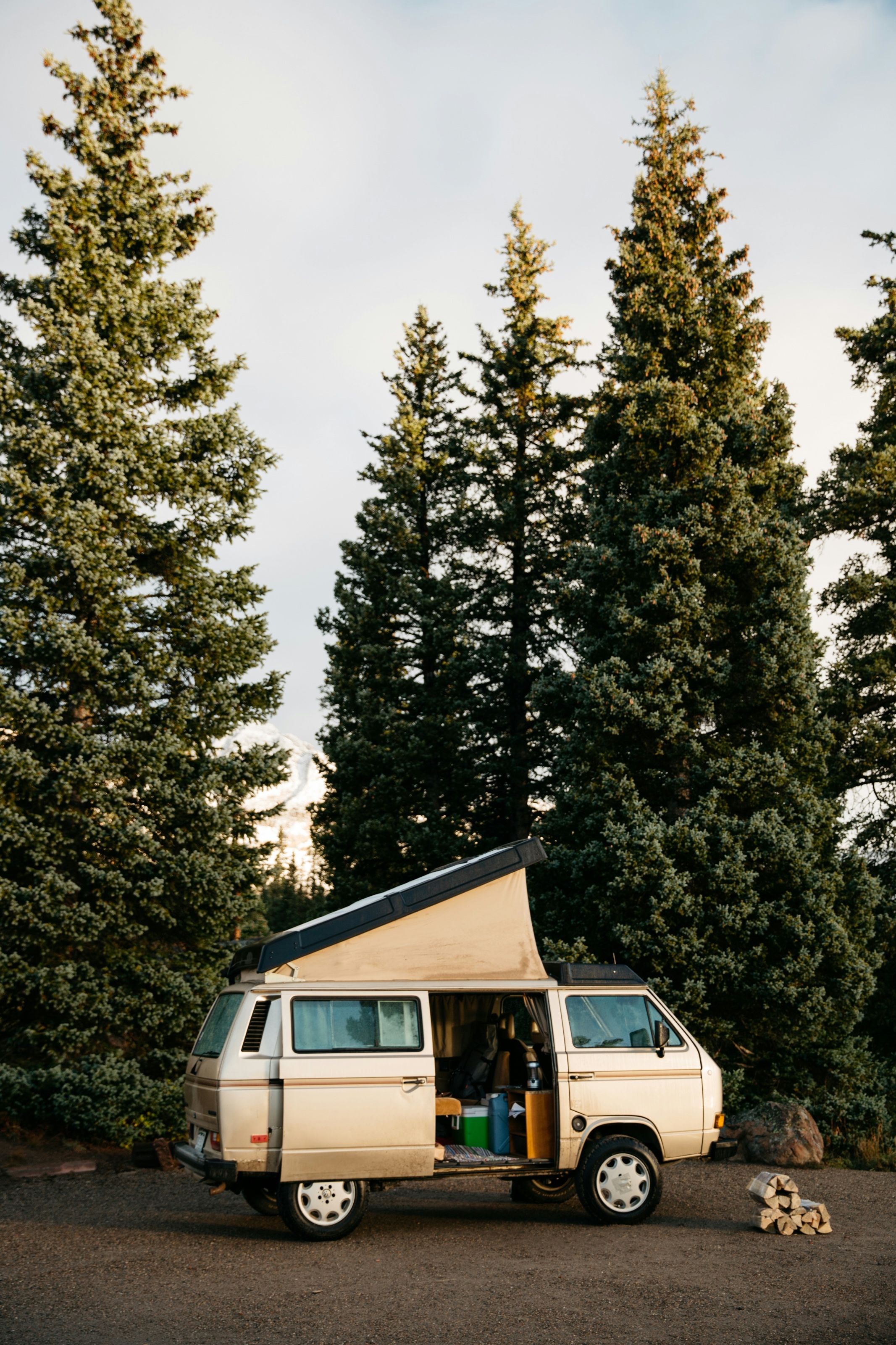 A camper van parked among evergreen trees