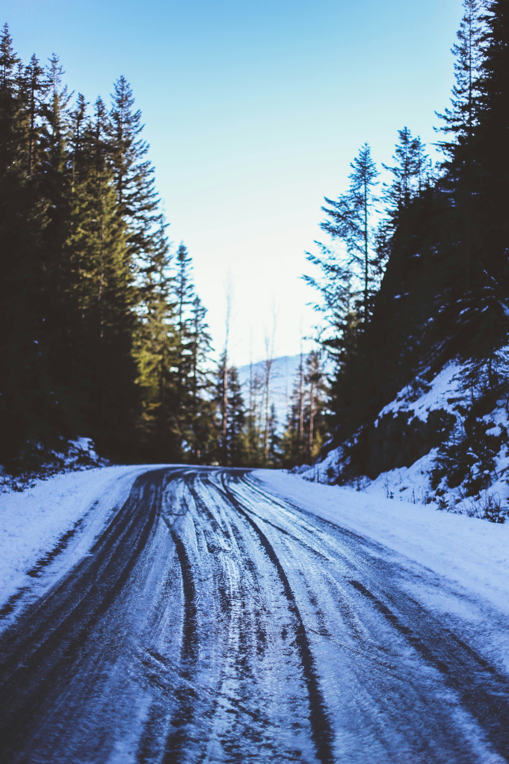 Snowy road winding through evergreen trees